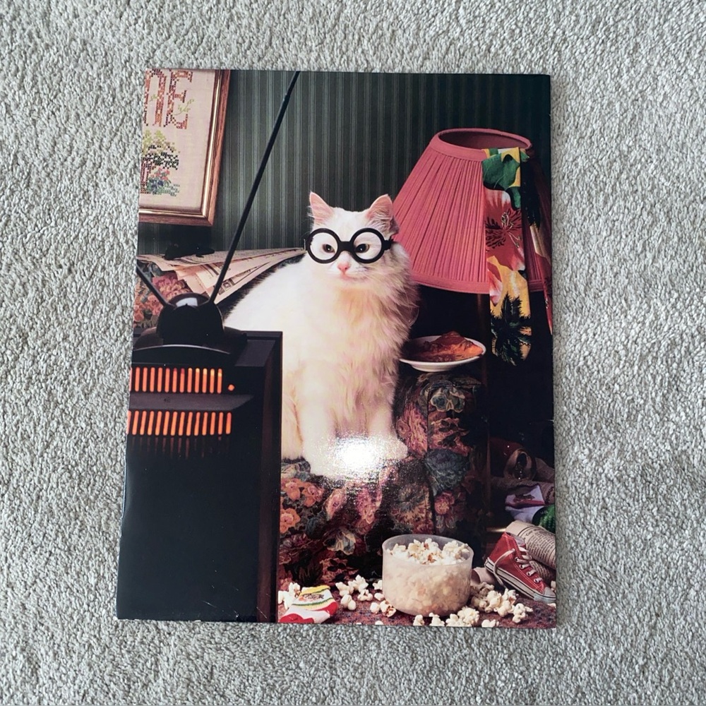 Vintage Pocket Ports! Union Camp Corporation Portfolio Folder Cat Watching TV‎